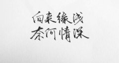 情深緣淺的傷感詩(shī)句
