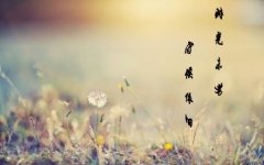 如果，時(shí)光未老的抒情句子