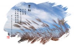 關(guān)于思秋的思念句子