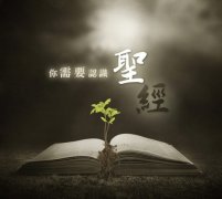 圣經(jīng)里的經(jīng)典句子