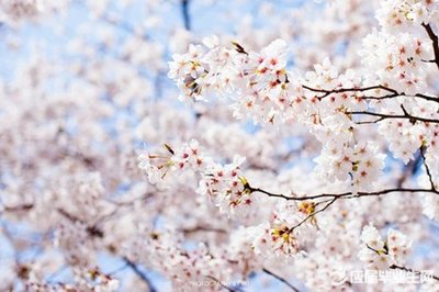 夏天高溫問候短信