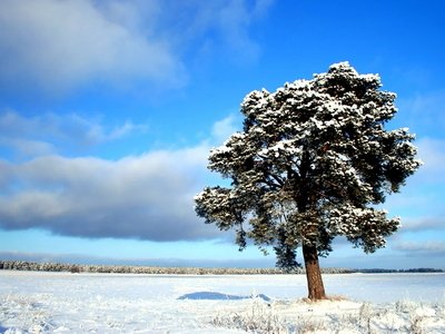 周末降溫下雪短信問候