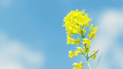 雨天多添衣問候短信