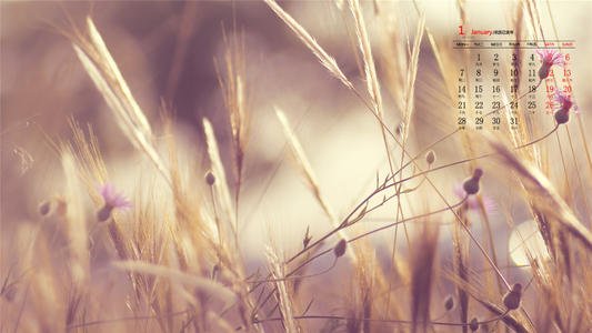 關(guān)于要女朋友開心的句子說說