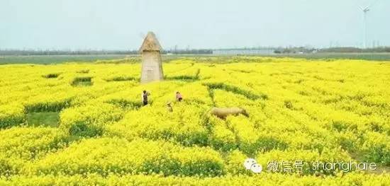 祝你開心快樂的句子   簡短祝開心快樂句子