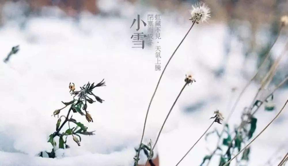 小寒節(jié)氣祝福語