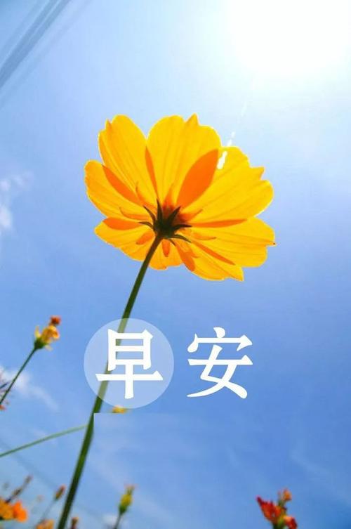 喜悅的開心句子短句