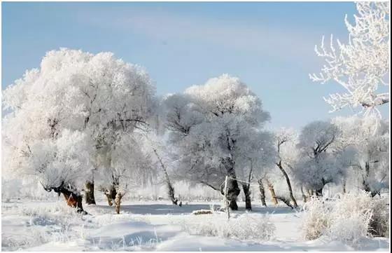 冬天雪景的優(yōu)美句子