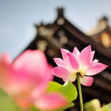 諷刺不珍惜友情的句子說(shuō)說(shuō)心情