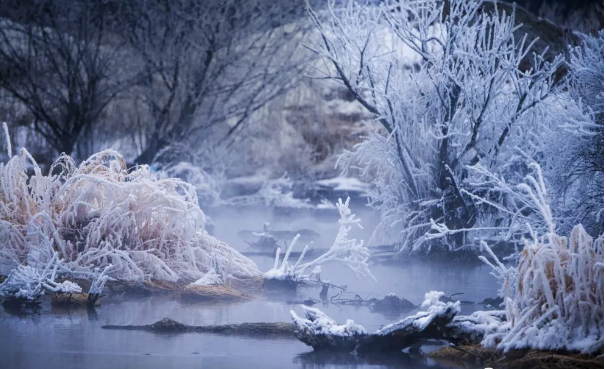 下雪說(shuō)說(shuō)心情短語(yǔ)第一場(chǎng)下雪的說(shuō)說(shuō)