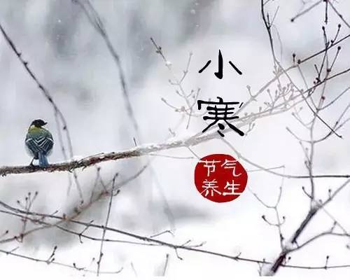 大寒養(yǎng)生祝福語(yǔ)