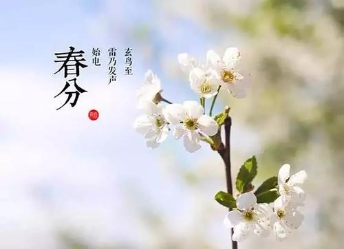 春分幽默祝福語(yǔ)