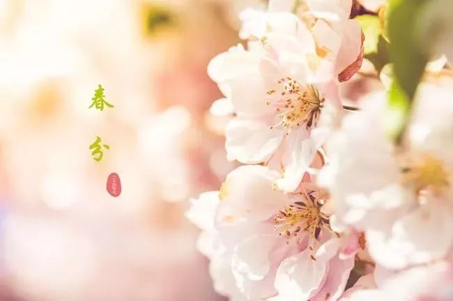 描寫春分時(shí)節(jié)的優(yōu)美句子 描寫春分時(shí)節(jié)的優(yōu)美句子