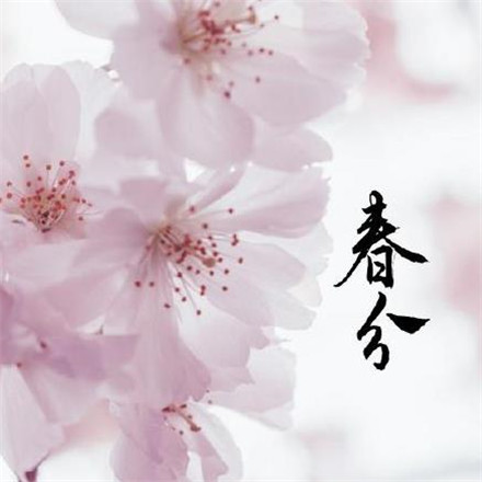 春分節(jié)氣優(yōu)美句子合集 春分節(jié)氣優(yōu)美句子合集