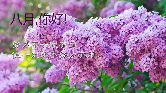 關(guān)于八月的唯美句子集錦 關(guān)于八月的唯美句子集錦