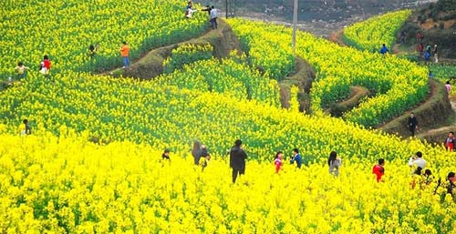 踏青的詩句精選（10首）